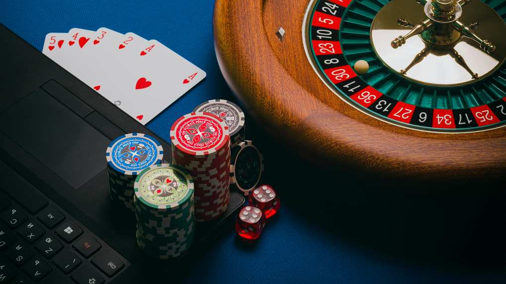 dolfwin casino